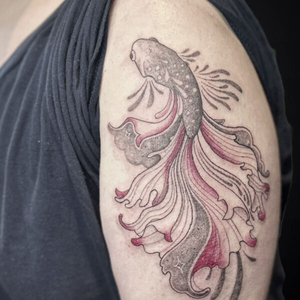 Tattoo of a betta fish with long flowing pink and gray fins on the upper arm.
