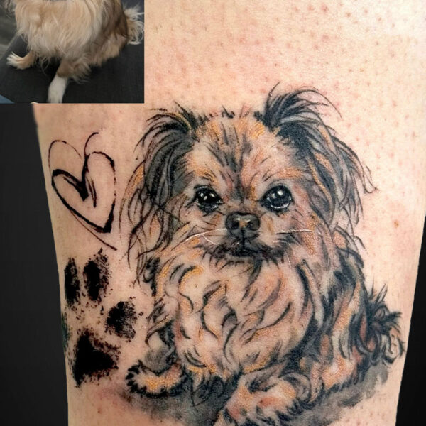 Tattoo of a fluffy Chihuahua-like dog on the leg, with a small heart outline and paw prints beside it, inset photo of the real dog for comparison