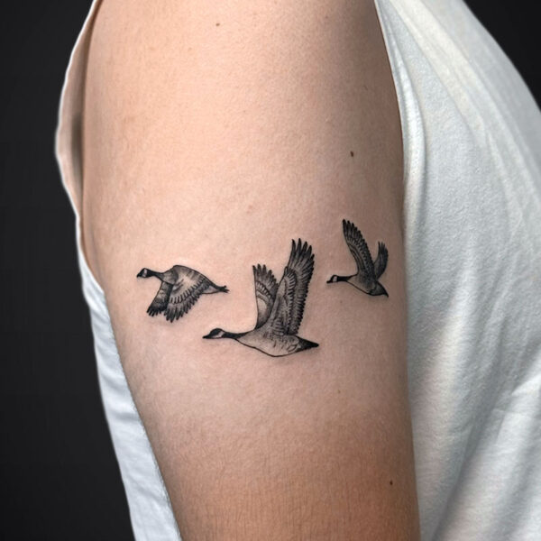 black-grey-tattoo-Canadian-geese black-grey-tattoo-Canadian-geese