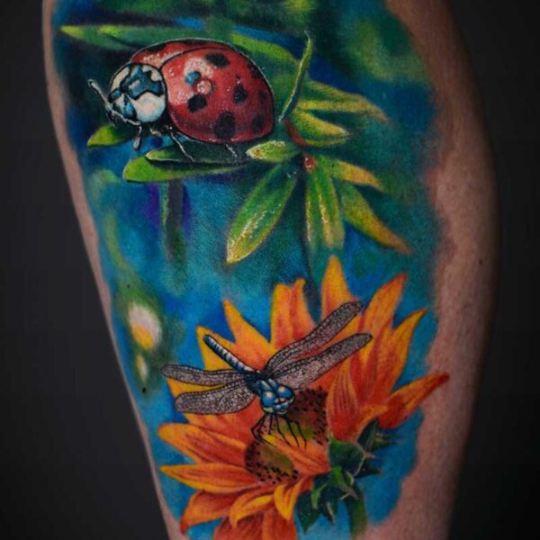 colour-realism-tattoo-ladybug-dragonfly