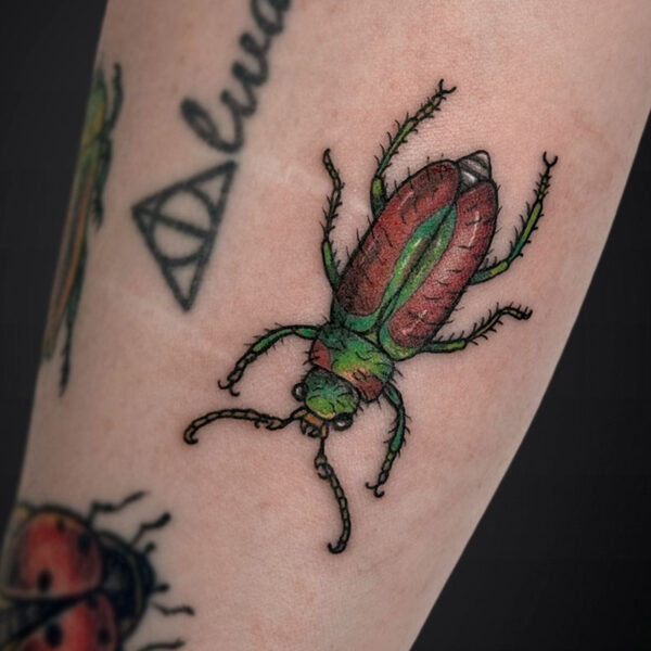 colour-tattoo-beetle colour-tattoo-beetle