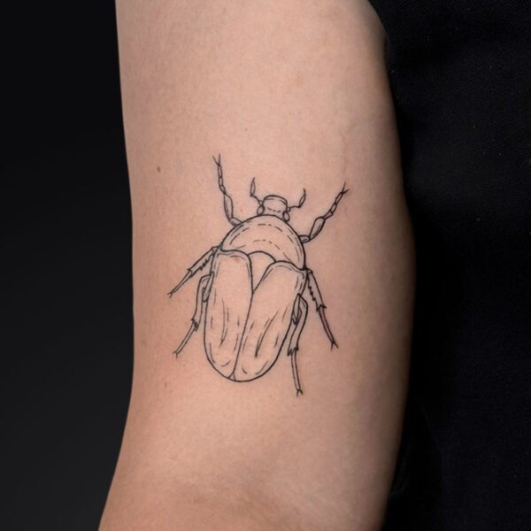 illustratie-tattoo-beetle illustratie-tattoo-beetle