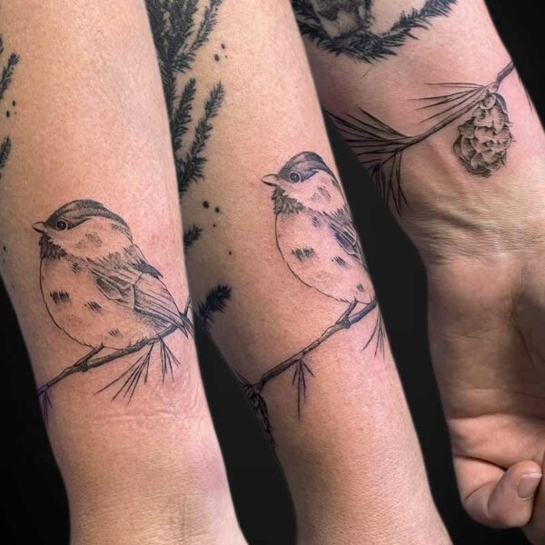 illustrative-tattoo-bird-cone-branch illustrative-tattoo-bird-cone-branch