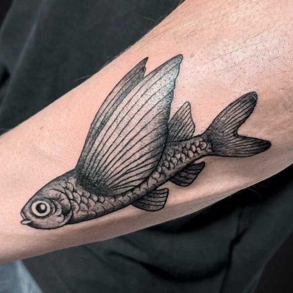 illustrative-tattoo-flying-fish illustrative-tattoo-flying-fish