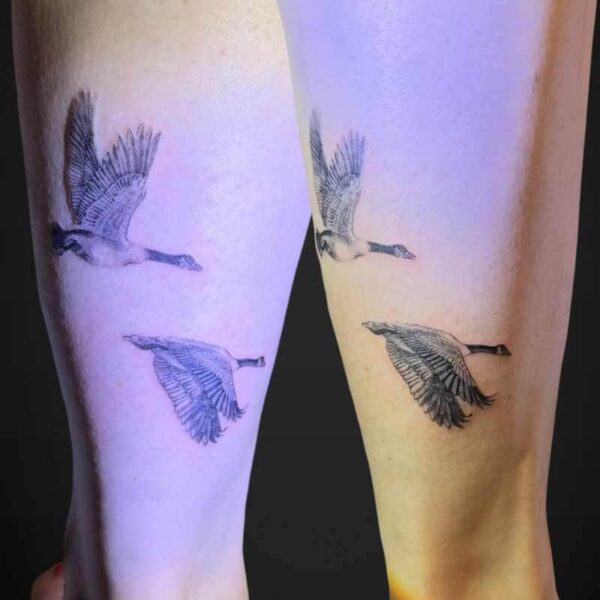 microrealosm-tattoos-Canadian-geese