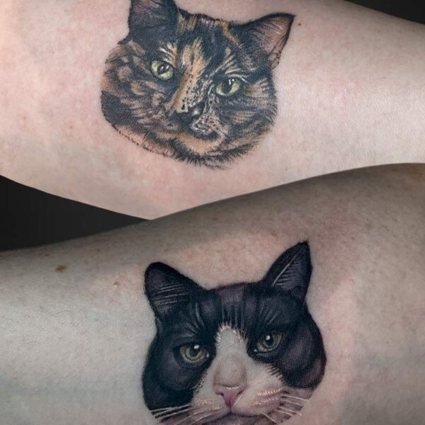 realism-tattoo-cat-portraits