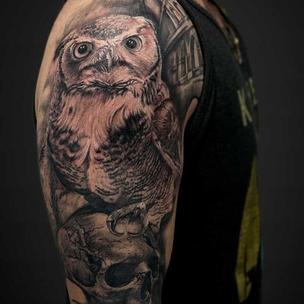 realism-tattoo-owl-skull-snake