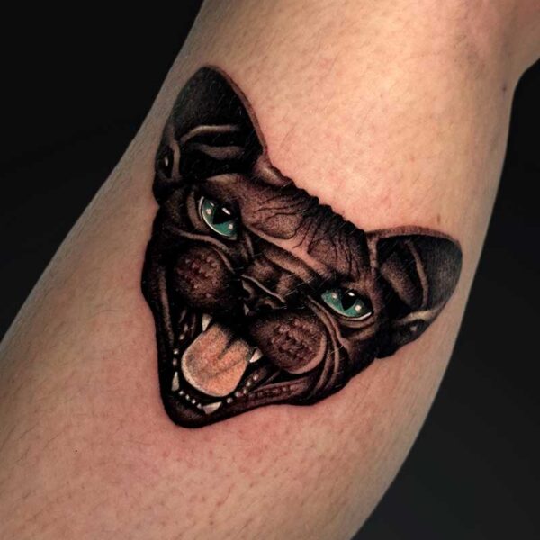 julia realism sphynx cat tattoo Realism sphynx cat tattoo with green eyes by Julia at Atticus Tattoo, Calgary